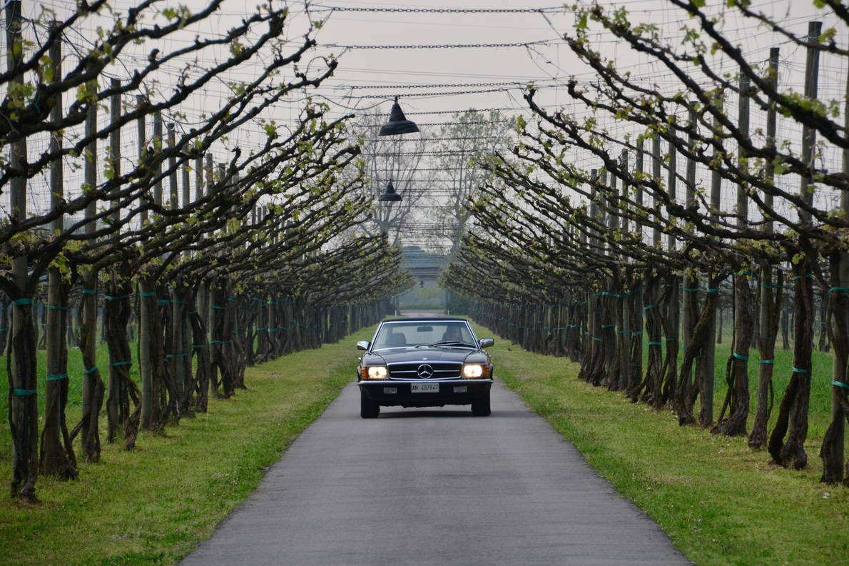 Mercedes cabrio