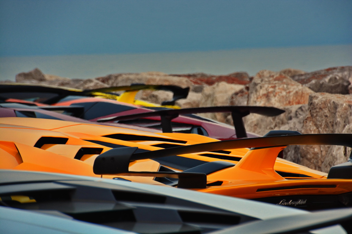 Bull Days Serenissima Edition- 2021