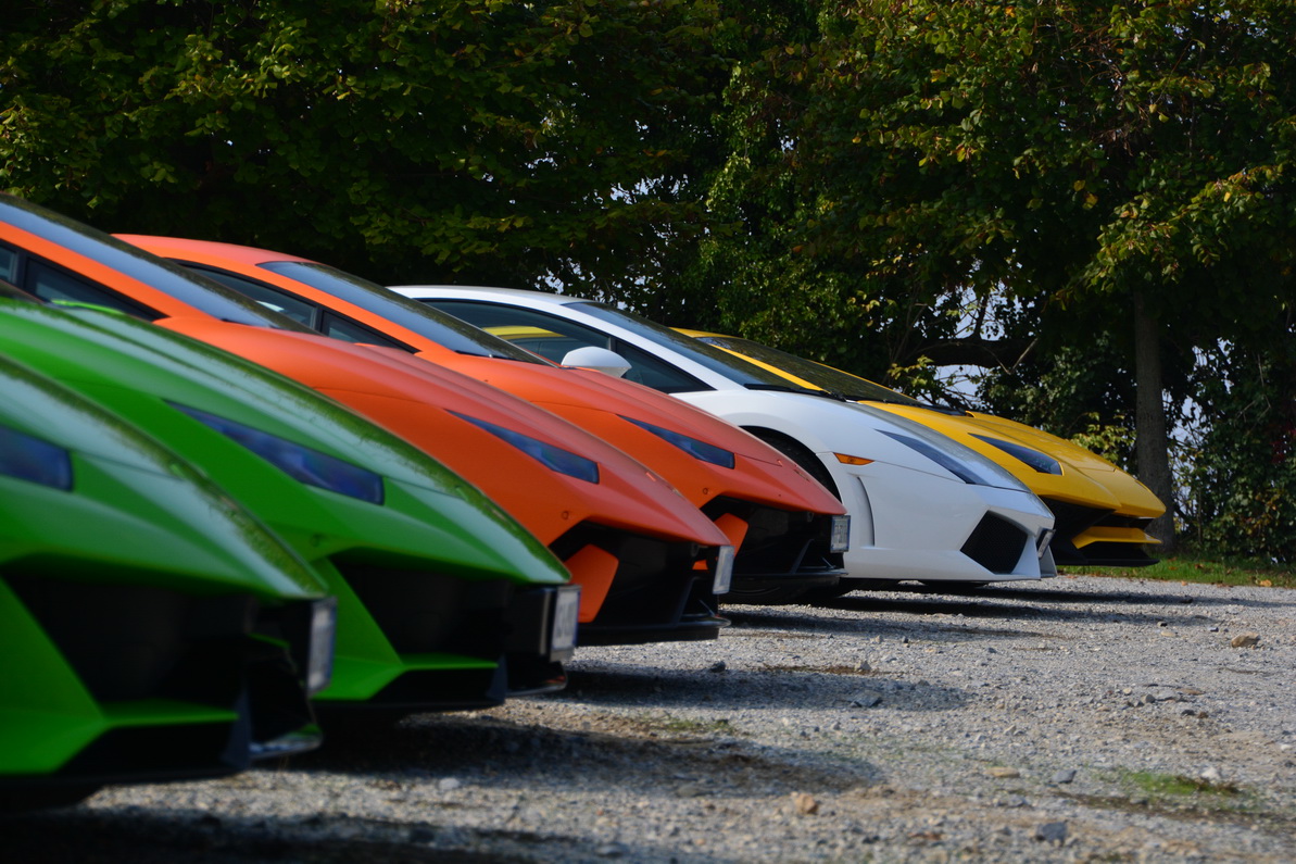 Bull Days Piemonte - 2022